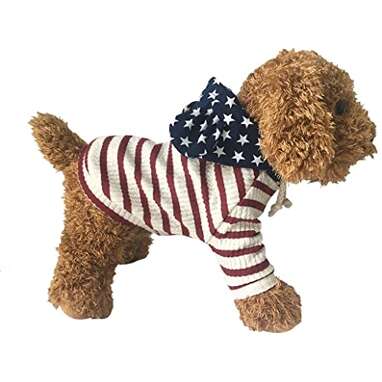 4th of July Hoodie