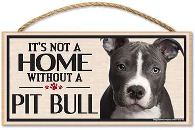 Federa Decorativa 40x40 Cm 'Non è Pelo Di Cane, è Pit Bull' | 2 Pezzi In Lino, Idea Regalo Per Amanti Dei Cani