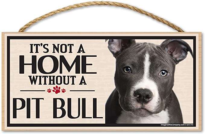 Federa Decorativa 40x40 Cm 'Non è Pelo Di Cane, è Pit Bull' | 2 Pezzi In Lino, Idea Regalo Per Amanti Dei Cani