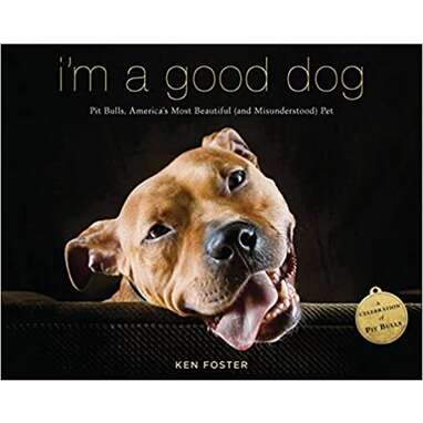 10 Gifts For The Pit Bull Lover In Your Life DodoWell The Dodo