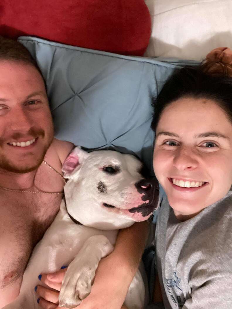 Rescued dog sleeps in bed for the first time