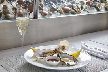 oysters