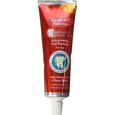 Pets Empire Pet Toothpaste - Buy Pets Empire Pet Toothpaste Online at Best  Prices In India