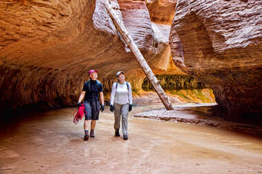 Things to Do in St. George, Utah: Why You Should Make the Drive Today ...