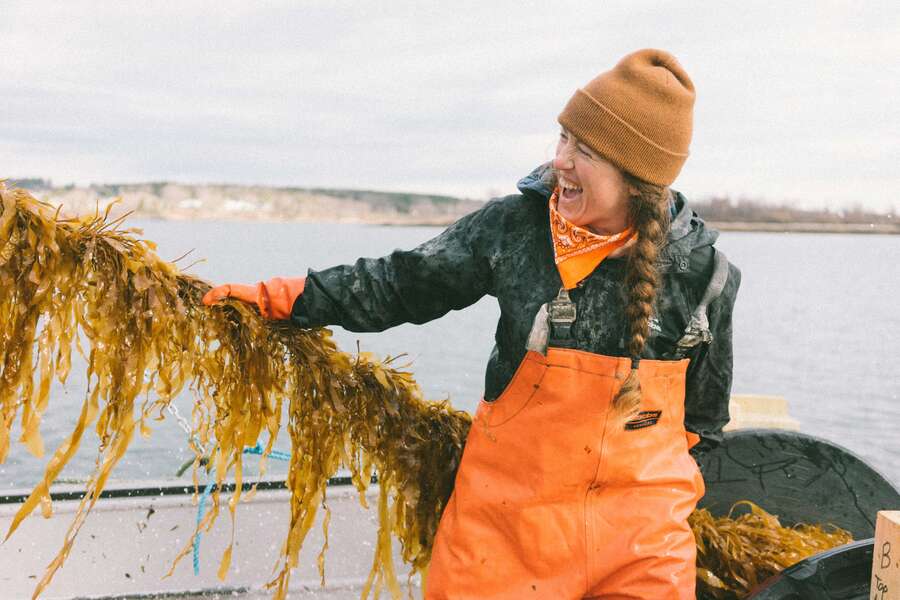 How Eating Seaweed Could Be The Key To Sustainable Seafood - Thrillist