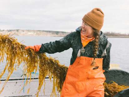 seaweed kelp farming salt sisters sustainable eating ocean seafood
