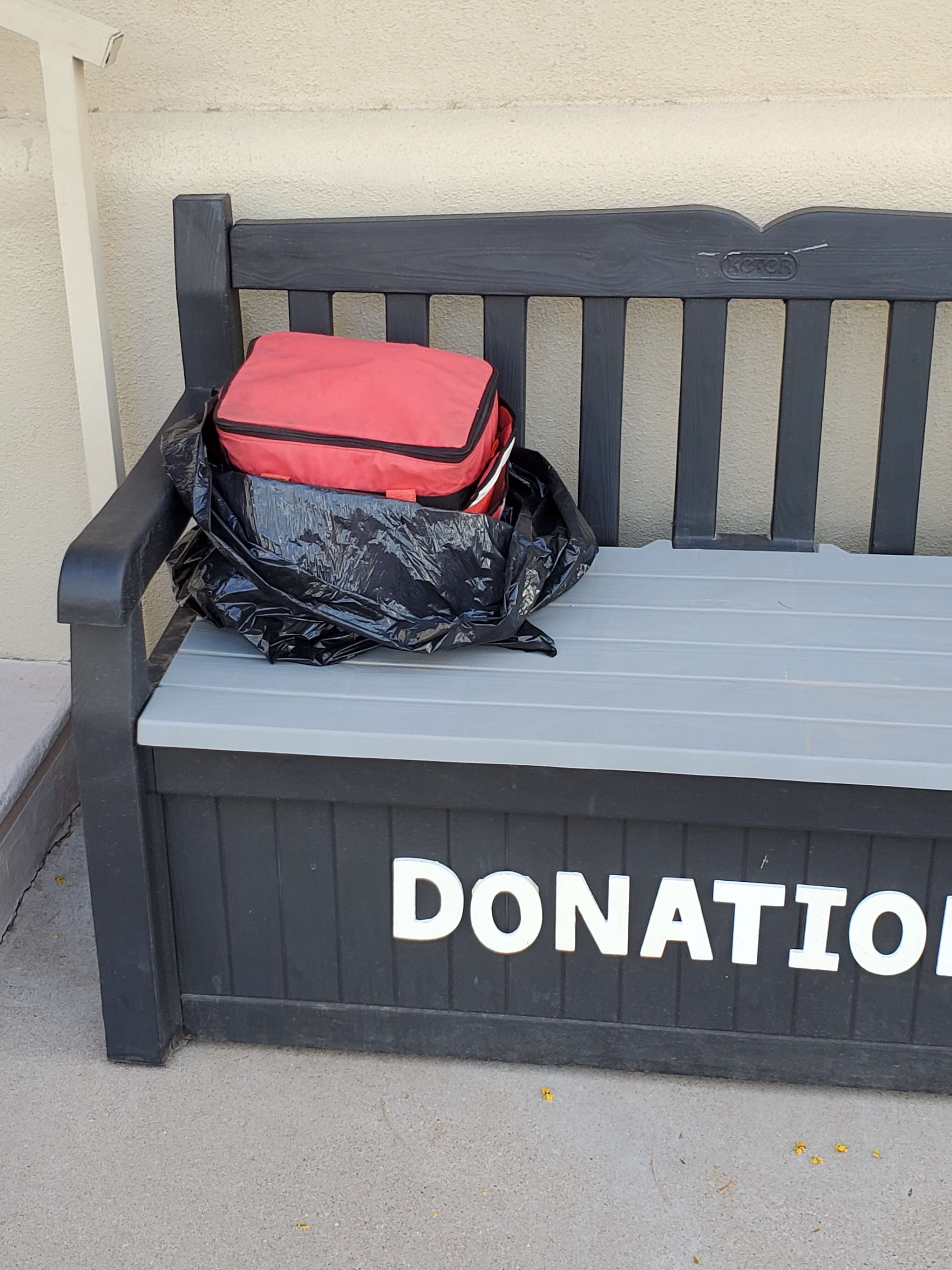 Cat abandoned in a cooler on a bench