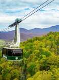 20 Reasons to Drive to Gatlinburg, Tennessee