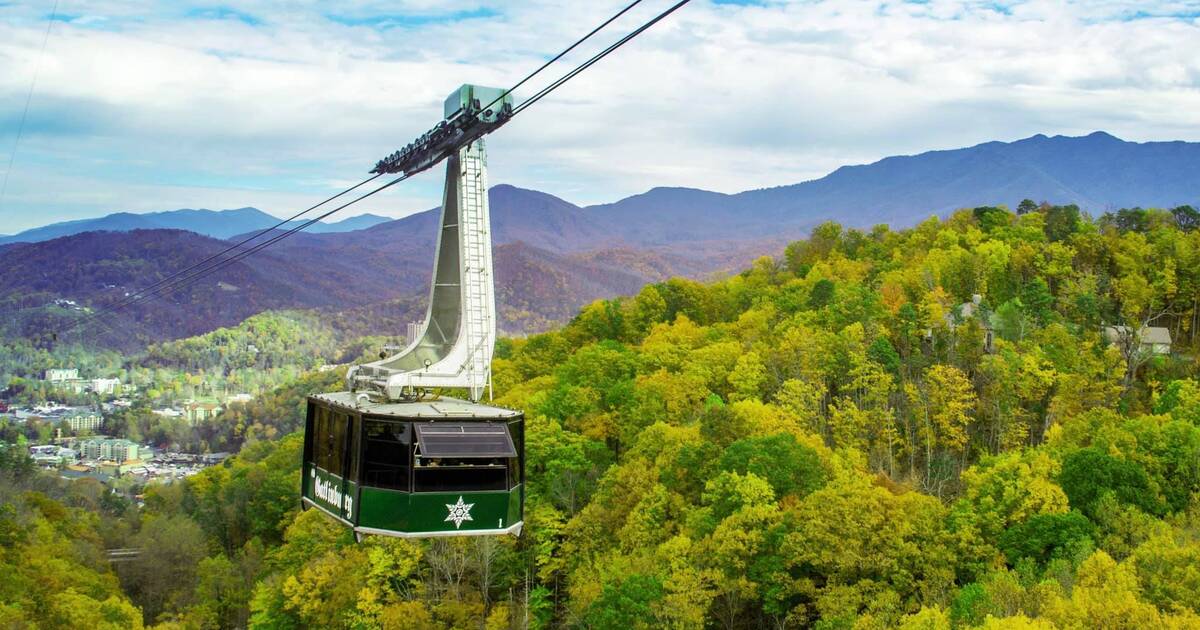 Things to Do in Gatlinburg, Tennessee: 20 Reasons to Make the Drive -  Thrillist