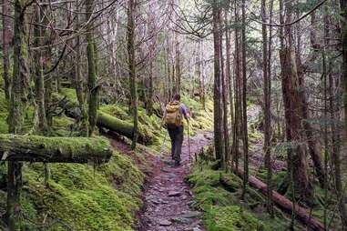 Appalachian trail