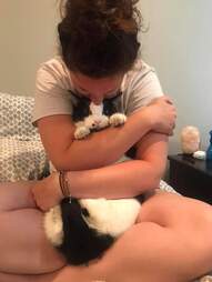 lost cat