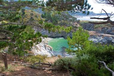 China Cove, Point Lobos State Park