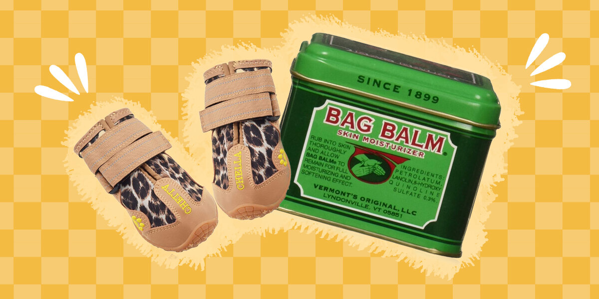 Bag balm best sale for dogs