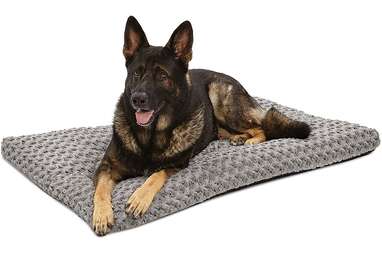 MidWest Homes Plush Dog Bed