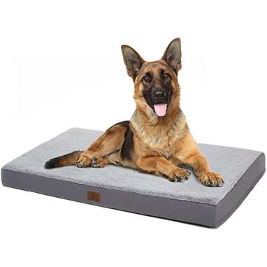 Eterish Orthopedic Dog Bed