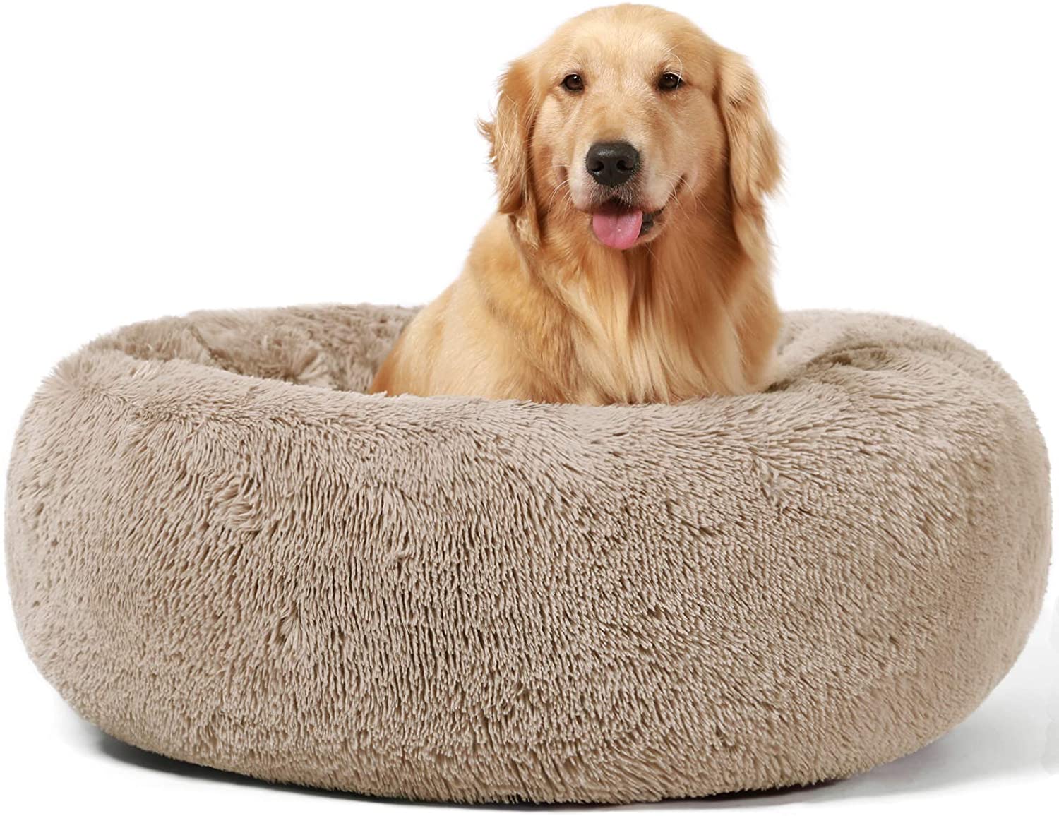 Best rated dog beds for hot sale large dogs