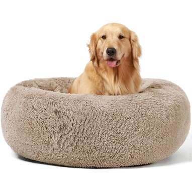 Best type of dog bed for golden clearance retriever