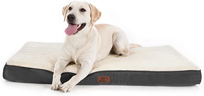 13 Best Large Dog Beds On Amazon DodoWell The Dodo