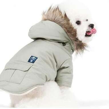 PetBoBo Dog Coat