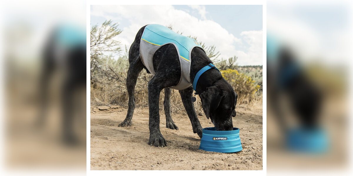 Sgoda dog cooling vest online