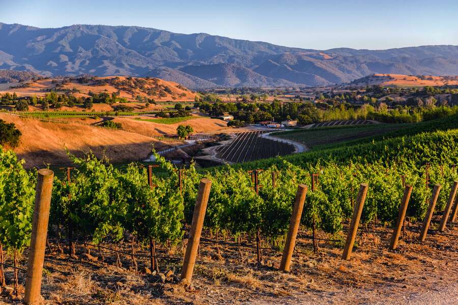 Best Santa Barbara Wineries: All the Places Worth the Drive From LA 