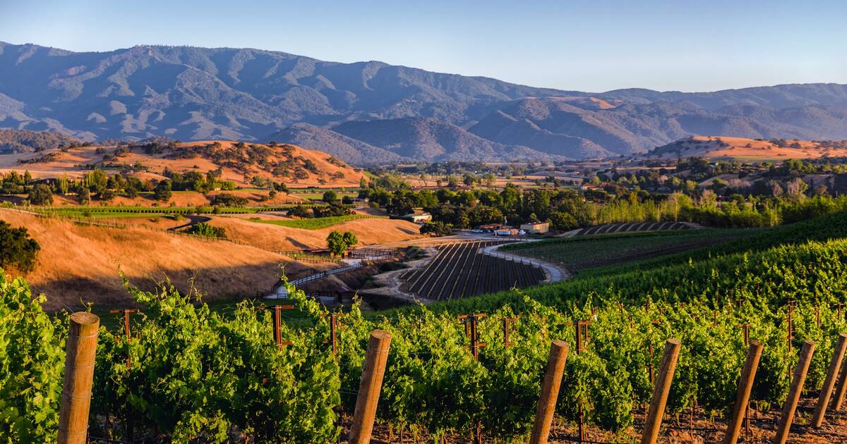 Our Favorite Santa Barbara County Wineries