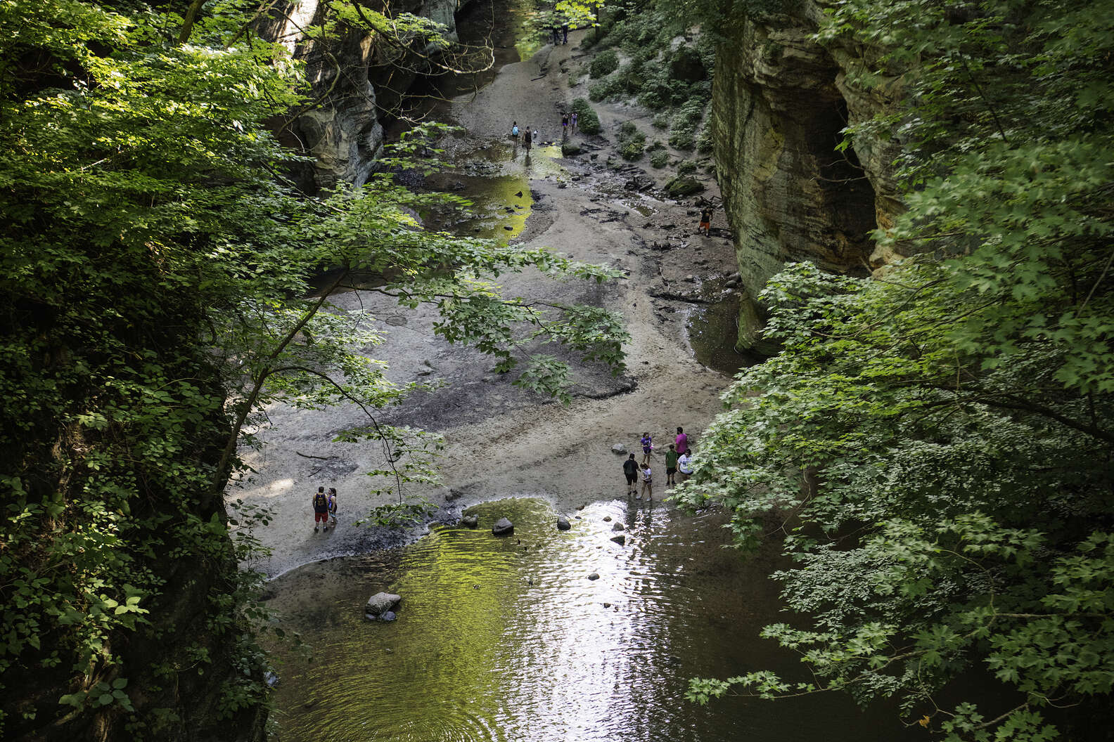 are dogs allowed in starved rock state park