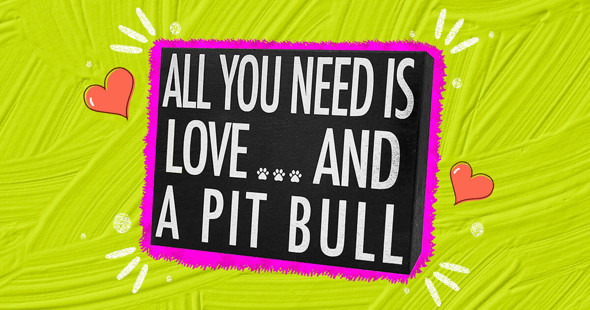 Pitbull gifts for pitbull clearance lovers