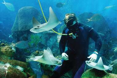 Texas State Aquarium