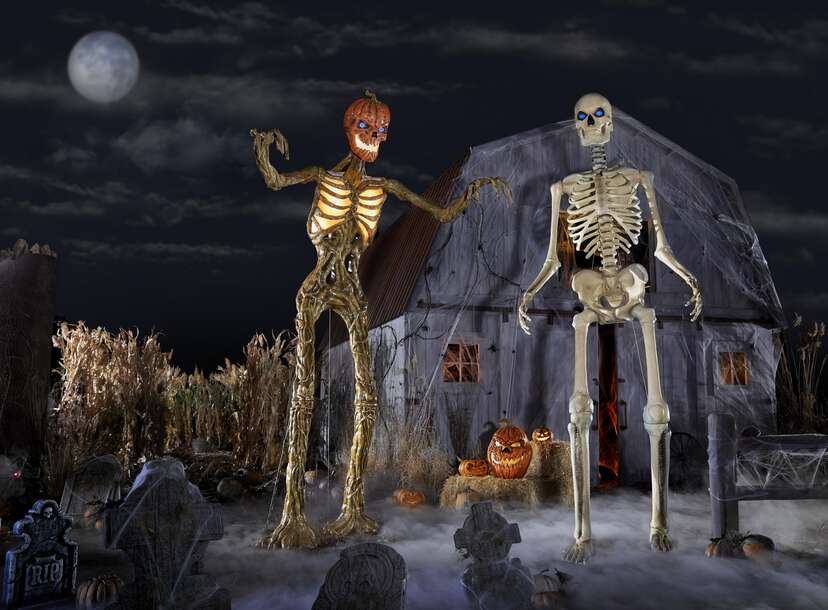 chicken skeleton halloween decoration