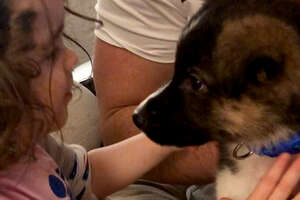 Puppy Grows Up With Little Girl During Quarantine