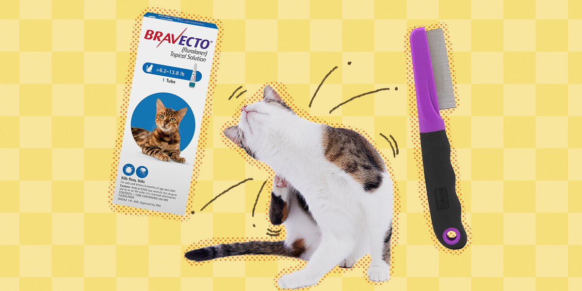 Can you use dog flea powder on clearance cats