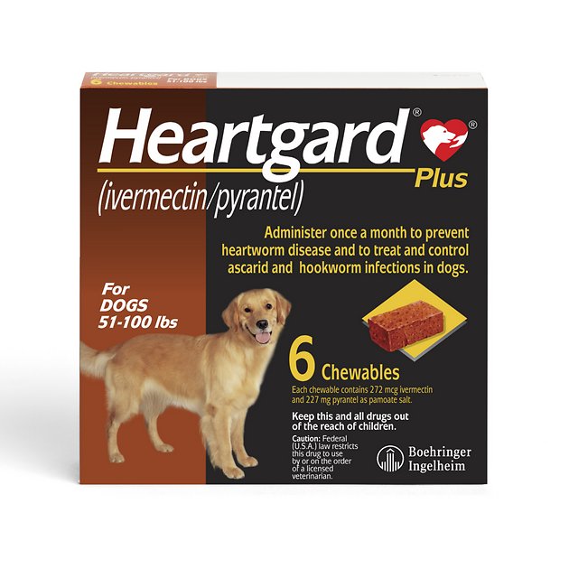 Heartworm 2025 treatment medication