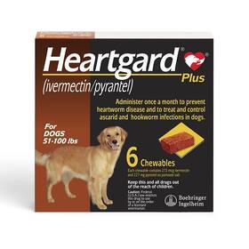 is heartworm treatment painful for the dog