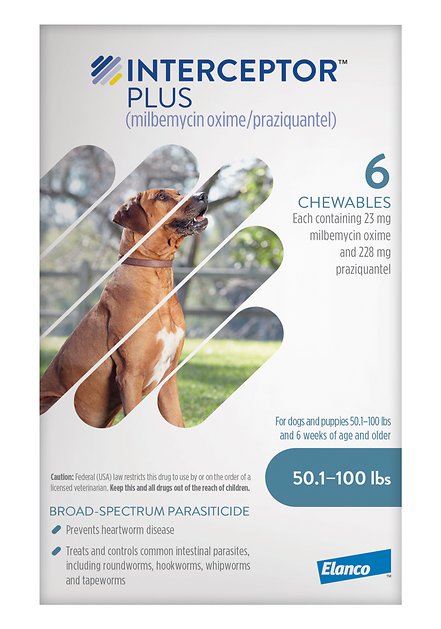 Treating Parasites In Dogs: Heartworm, Hookworm and Tapeworm Treatment -  DodoWell - The Dodo