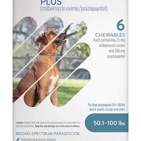are heartworms painful for dogs