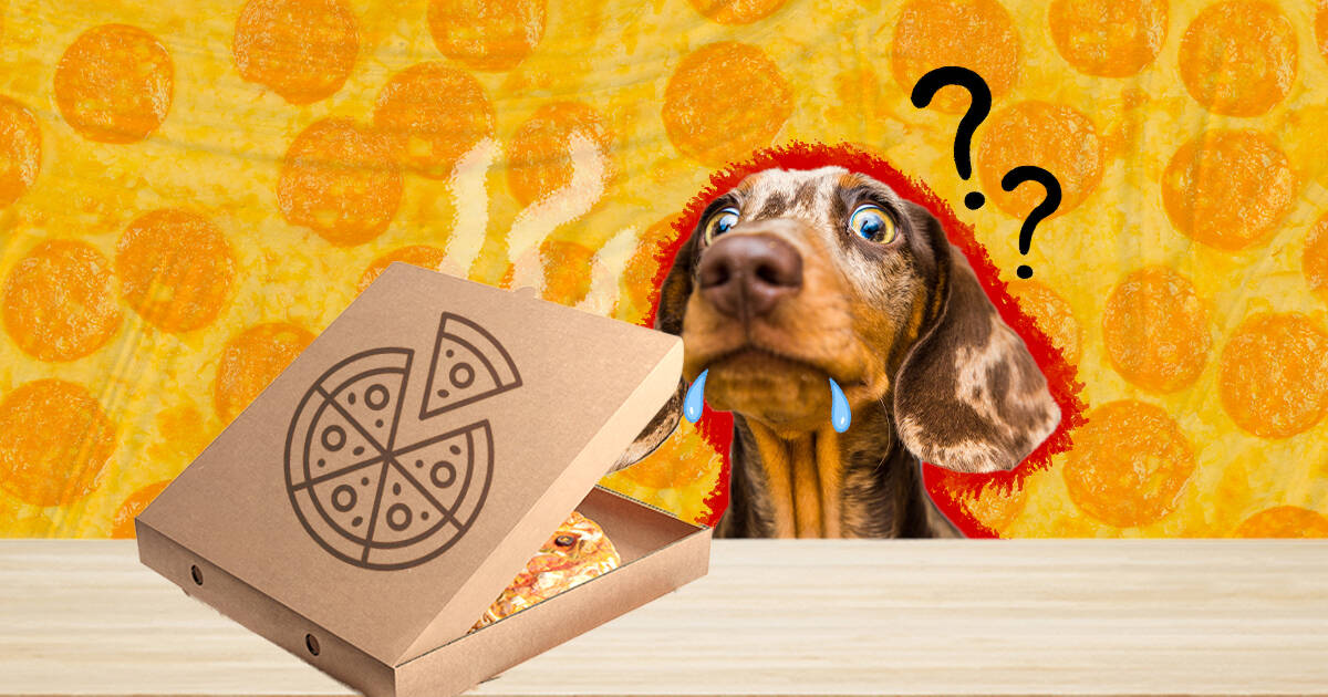 what happens if dogs eat pizza