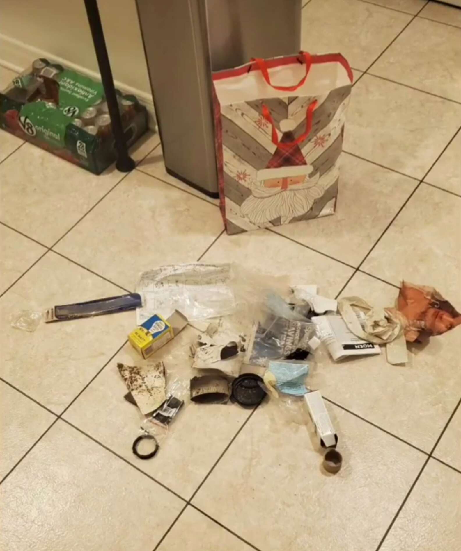 One Man's Trash is this Cat's Daily 'Treasure' To Offer His Parents