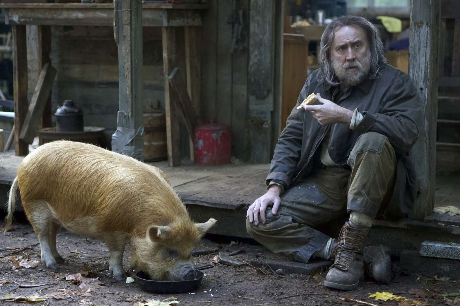 pig movie review guardian