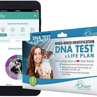 Orivet Mixed Breed Identification Dog DNA Test