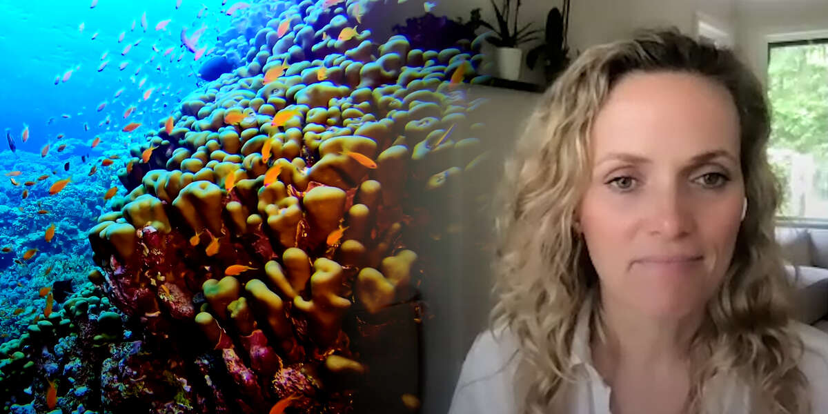 Coral Reefs Could Play Crucial Role in Medicine Videos NowThis