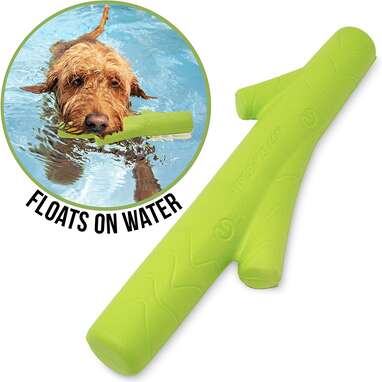 dog pool toys