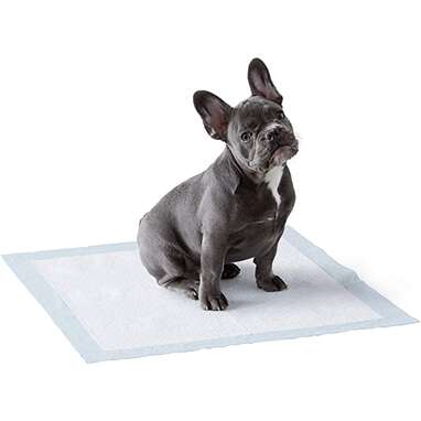 Amazon Basics Dog and Puppy Pads