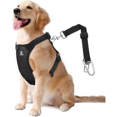 Dog car restraint clearance harness