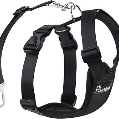 Best value dog car safety harness: Pawaboo Dog Safety Car Harness