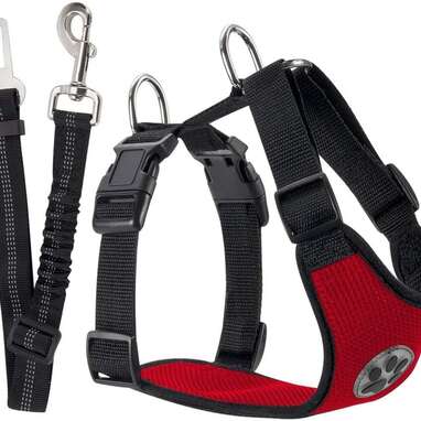 Best overall dog car safety harness: SlowTon Dog Car Harness