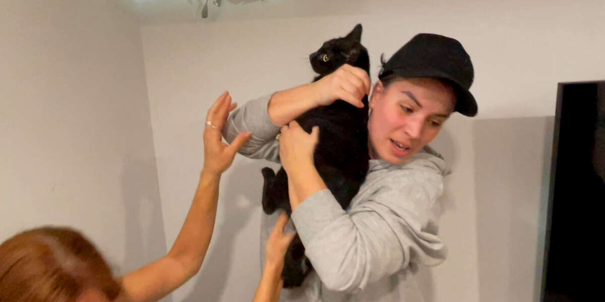 Plumber Rescues Pregnant Cat Even Though He’s Scared Of Them - Videos ...