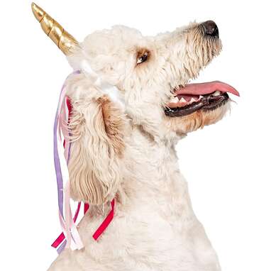 Midlee Dog Unicorn Headband
