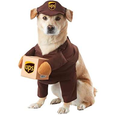 California Costumes Pet UPS Costume