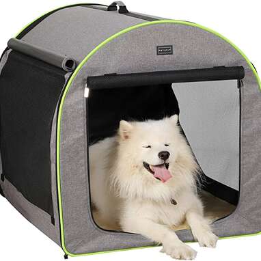 Dog hotsell camping crate